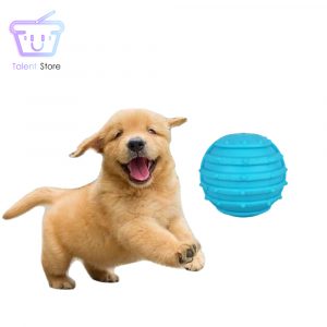 Pelota para Mascotas con Orificio para Premio